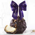 Dark Chocolate Cashew Jumbo Caramel Apple Gift